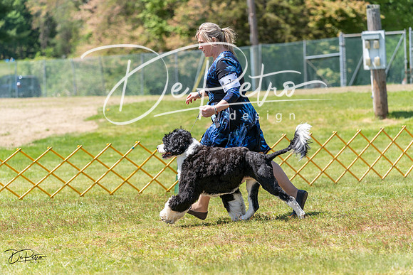 20230514-DSC08541