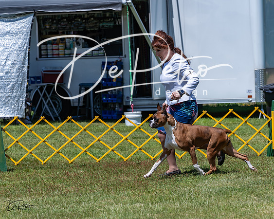 20230514-DSC04036