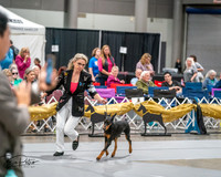 20260926-DSC03903