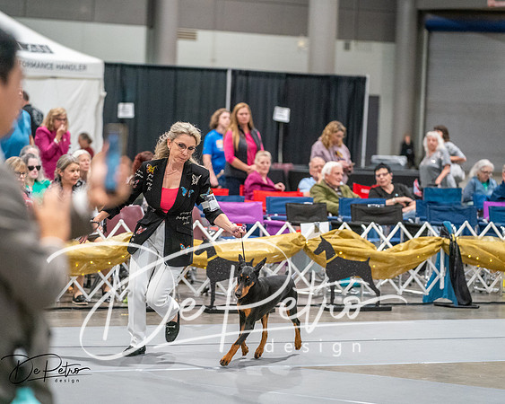 20260926-DSC03903