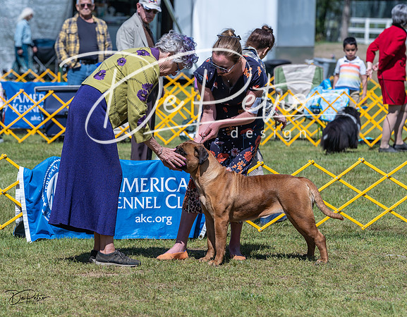 20230514-DSC03738