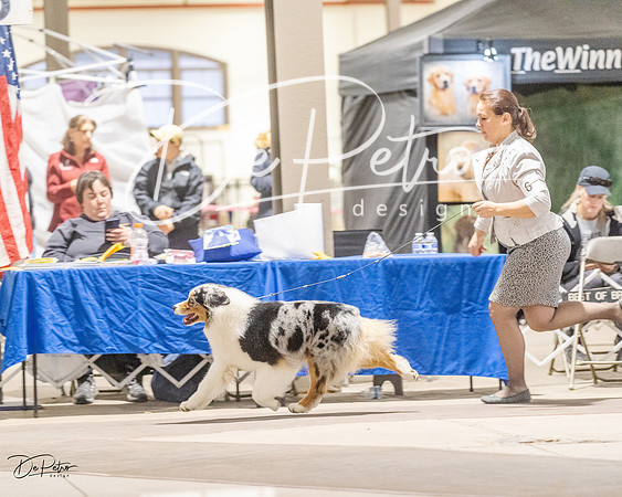 20230401-DSC07738