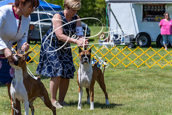 20230514-DSC04074