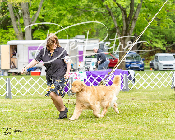 20230427-DSC03386