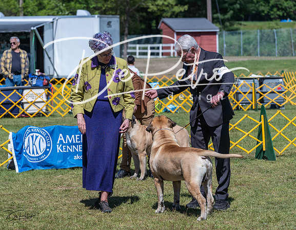 20230514-DSC03661