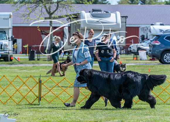 20230512-DSC05176
