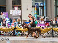20260926-DSC03989