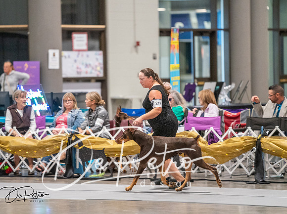 20260926-DSC03989