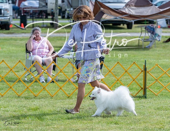 20230513-DSC00353