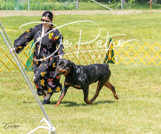 20230514-DSC07794