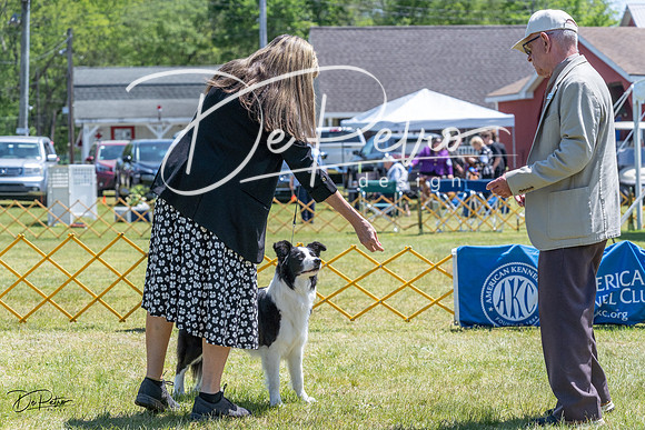 20230514-DSC05076