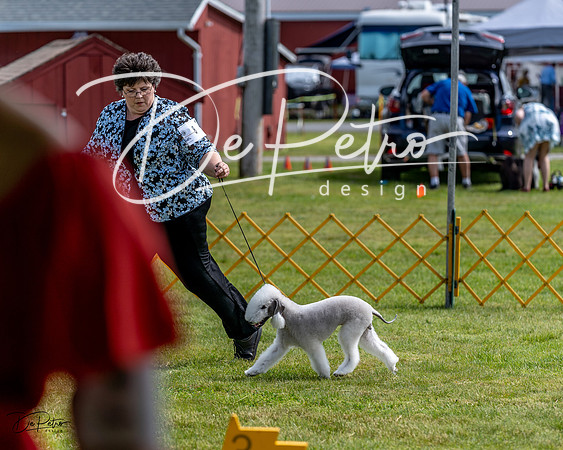 20230513-DSC00013