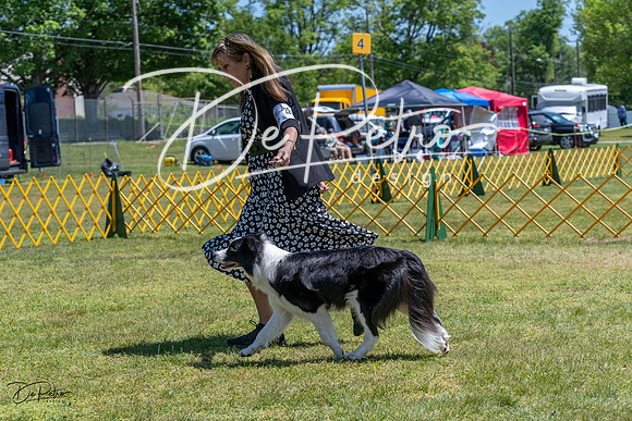 20230514-DSC05062