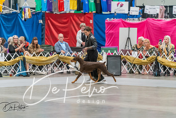 20260928-DSC05937