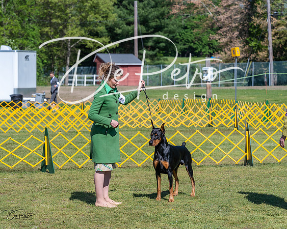 20230514-DSC03286