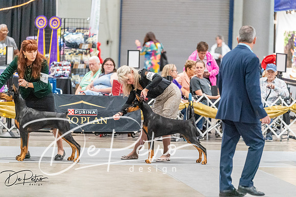 20261001-DSC07203