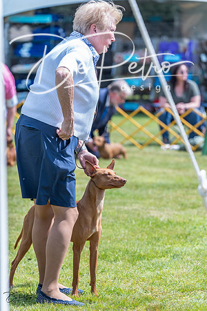 20230512-DSC03921