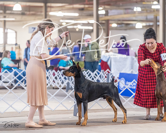 20230401-DSC06761