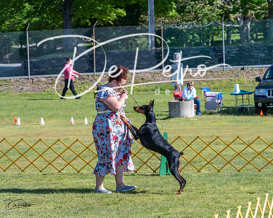 20230514-DSC02606