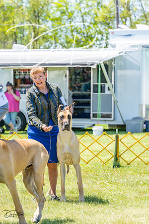 20230514-DSC08048