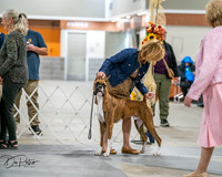 20261022-DSC02690