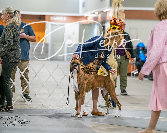 20261022-DSC02690