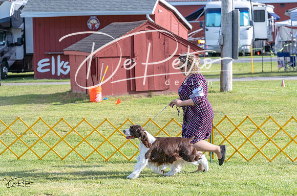 20230513-DSC02201