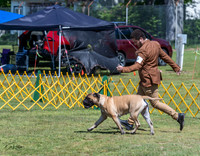 20230514-DSC03596