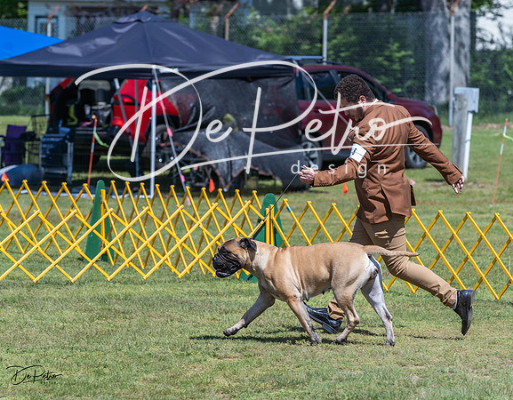 20230514-DSC03596