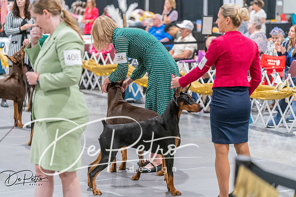 20260927-DSC05219