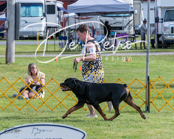 20230513-DSC01073
