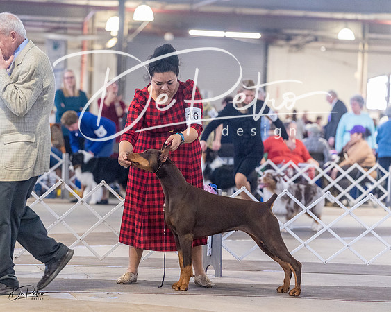 20230401-DSC06608