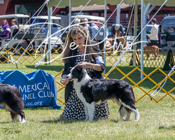 20230514-DSC04780