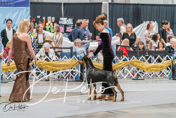 20260928-DSC06141