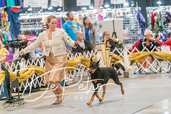 20260927-DSC05372
