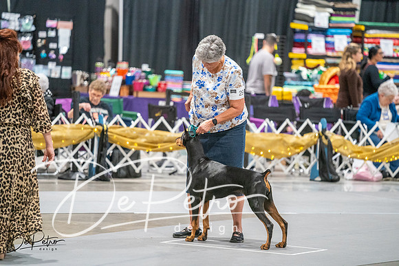 20260926-DSC04585