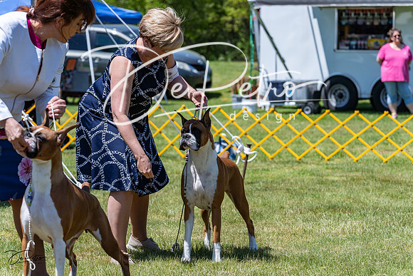 20230514-DSC04070