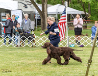 20230427-DSC07212