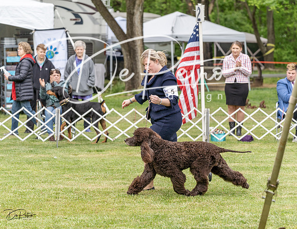 20230427-DSC07212