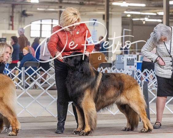 20230402-DSC09331