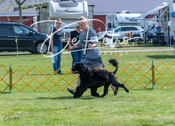 20230512-DSC05203