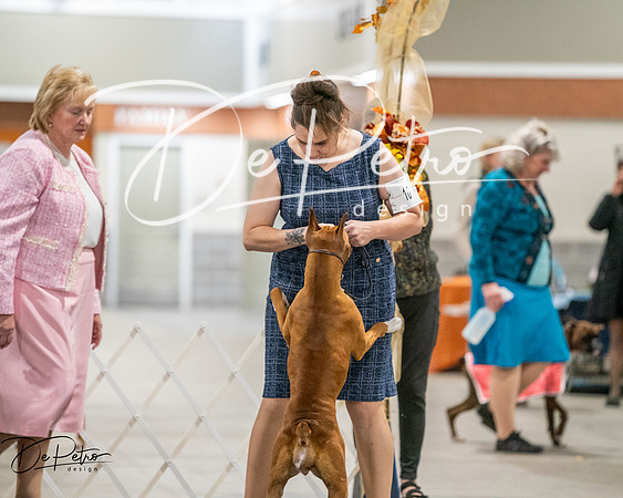 20261022-DSC03008
