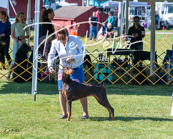 20230514-DSC02792