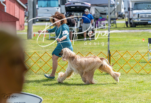 20230513-DSC09459