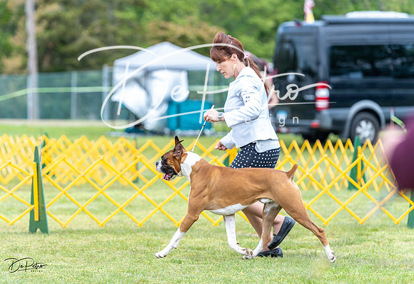 20230513-DSC07528