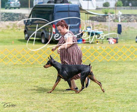 20230513-DSC08447