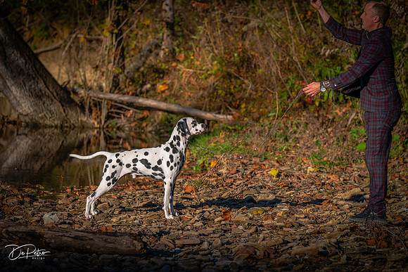 20261017-DSC09556