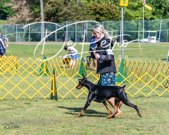 20230514-DSC03042