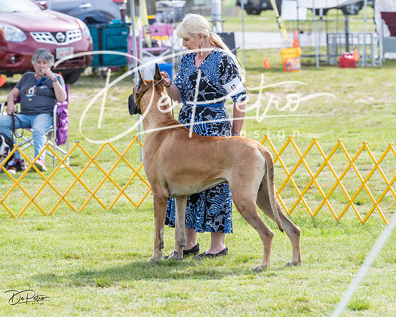 20230513-DSC00734