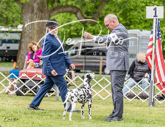 20230427-DSC07331